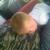 Rowan en Baby Rowan knuffelen met de beeb!