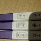 3 x ovulatietest 