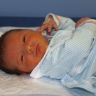 Amir 