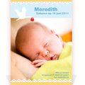 Kaartje Baby-Cards Geboortekaartjes Ooievaar - P-707