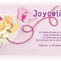 Kaartje Baby-Cards Geboortekaartjes Vlindertje van vilt roze - F-597