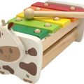 Muziekinstrument im toy  xylophone koe Wit