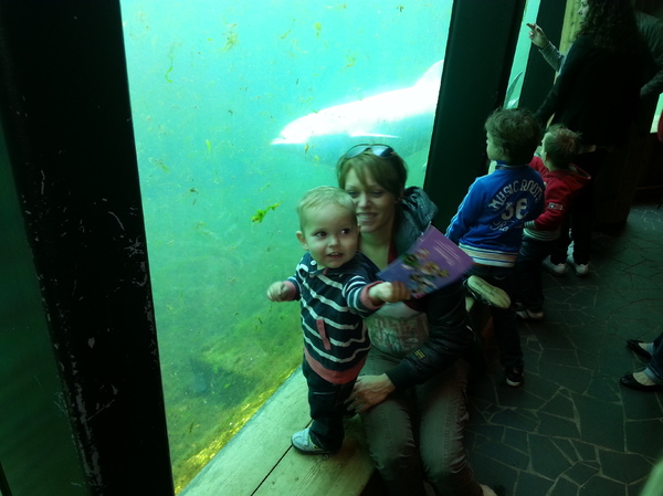 samen met ons zoontje bij dolfinarium (22 weekjes zwanger) Altijd wil jeremy op de foto behalve bij dolfinaruim, ach hij had het ook zo druk met kijken ;) 