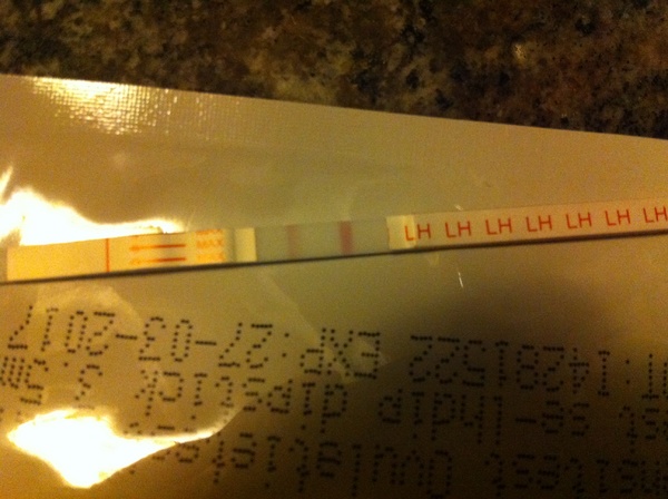 Ovu test 3 feb  