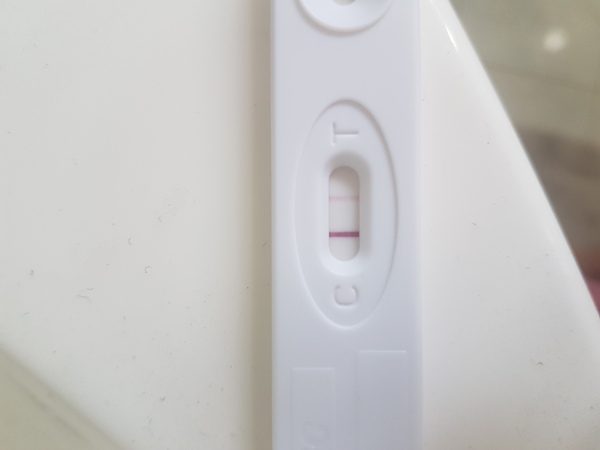 12 dpo  