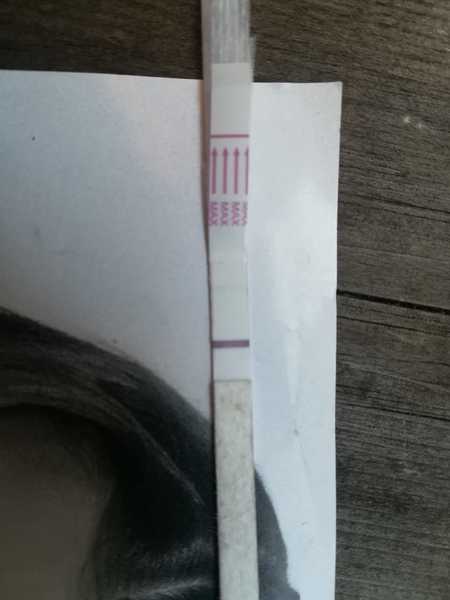 10dpo 