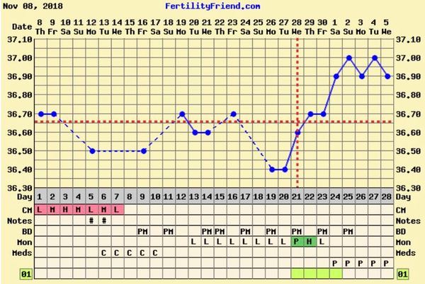 temperatuurkaartje nov/dec 2018 