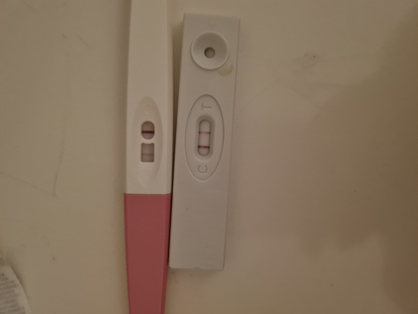 14dpo 