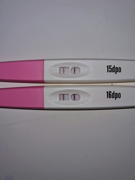 15 en 16 dpo 