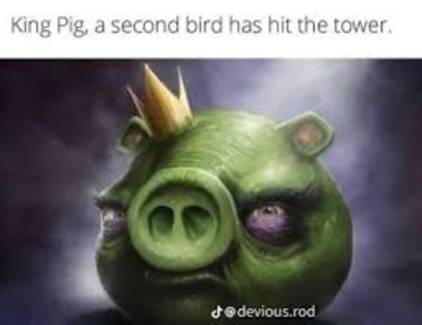 oh no 