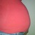 12 weken & 6 dagen 