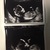12,5 week 