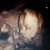 27 wk 