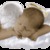 Vlinder Faith Josephine* Vlinder Faith Josephine*