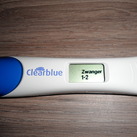 Test De bevestiging dat we zwanger zijn!