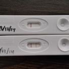 De testen op een rijtje :) <3 Zwanger <3
