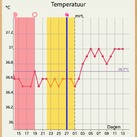 Zwanger tempkaartje 