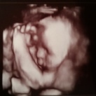 27 wk 