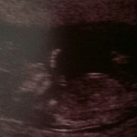  11w6dagen