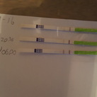  Oplopende ovu testen