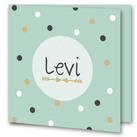 Hippe geboortekaartjes Hippe geboortekaartjes voor je zoon of dochter. De mooiste geboortekaartjes maak je zelf online.
Vandaag besteld, morgen in huis!