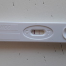 2/3 dagen voor nod Hij loopt goed op