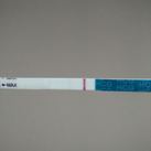 tweede keer zwanger foto2 andere test2