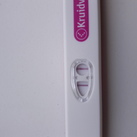 11 dpo 