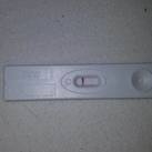  (L)