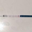 5 november 2017 