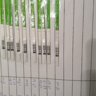  Ovulatie testen 16-11