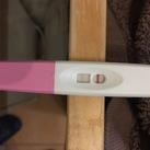  11dpo