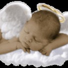 Vlinder Faith Josephine* Vlinder Faith Josephine*