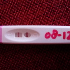 4wkn+4dgn blub2 