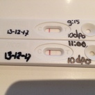 10 dpo 