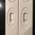 11 en 12 dpo 