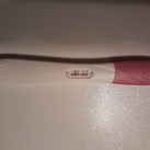 11 weken 