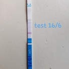 Test 1 Eerste ovu test