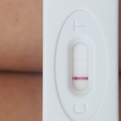 11 dpo 