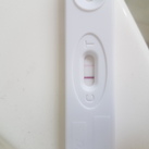 12 dpo  