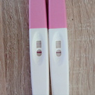  Zwangerschap testen