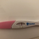13/14 dpo  