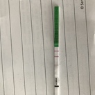  Dames, ik lees al een tijdje mee, ik ben 4 dagen overtijd maar een test laat nog niks zien. 
Wel heb ik een ovulatietest gedaan en die is duidelijk!
Bij mijn vorige zwangerschap had ik pas na 6 weken een positieve test! 