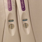 Links dpo 11, rechts 12dpo 