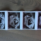 12w&4dagen 