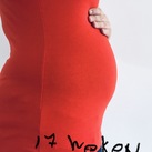 17 weken  