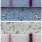 12 DPO tot 15 DPO 