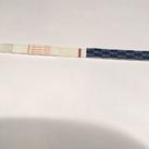 sensitest early 11dpo 