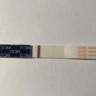 sensitest early 11dpo 2e foto 