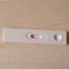 Kv test 24-12 